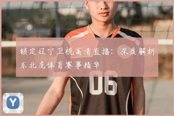 锁定辽宁卫视高清直播：深度解析东北虎体育赛事精华