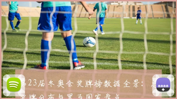 第23届冬奥会奖牌榜数据全景：总奖牌分布与黑马国家盘点