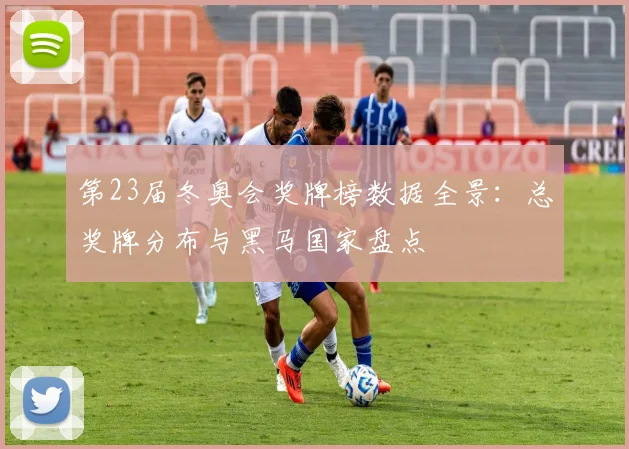 第23届冬奥会奖牌榜数据全景：总奖牌分布与黑马国家盘点