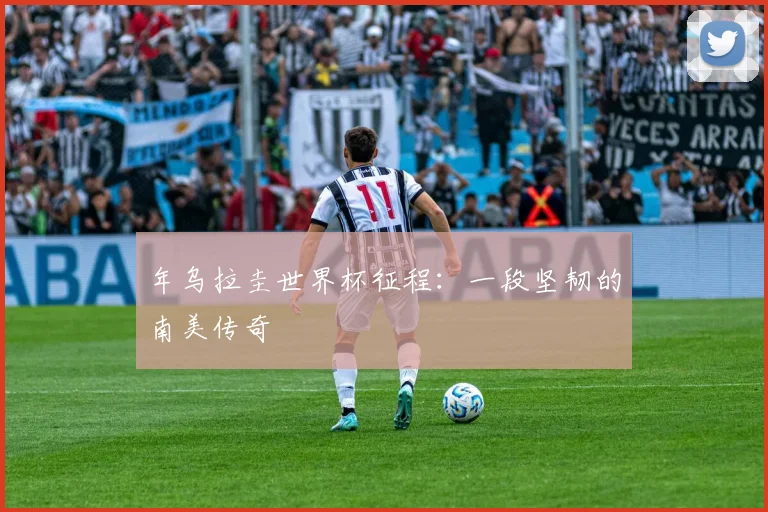 年乌拉圭世界杯征程:一段坚韧的南美传奇