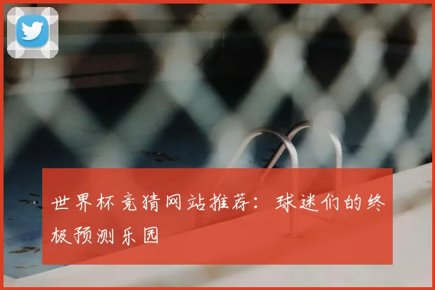 世界杯竞猜网站推荐：球迷们的终极预测乐园