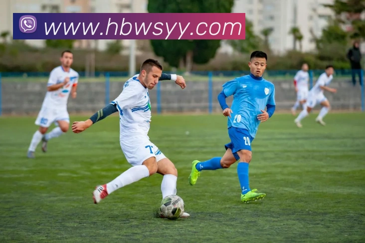 开云手机网页登录网页APP 封面图